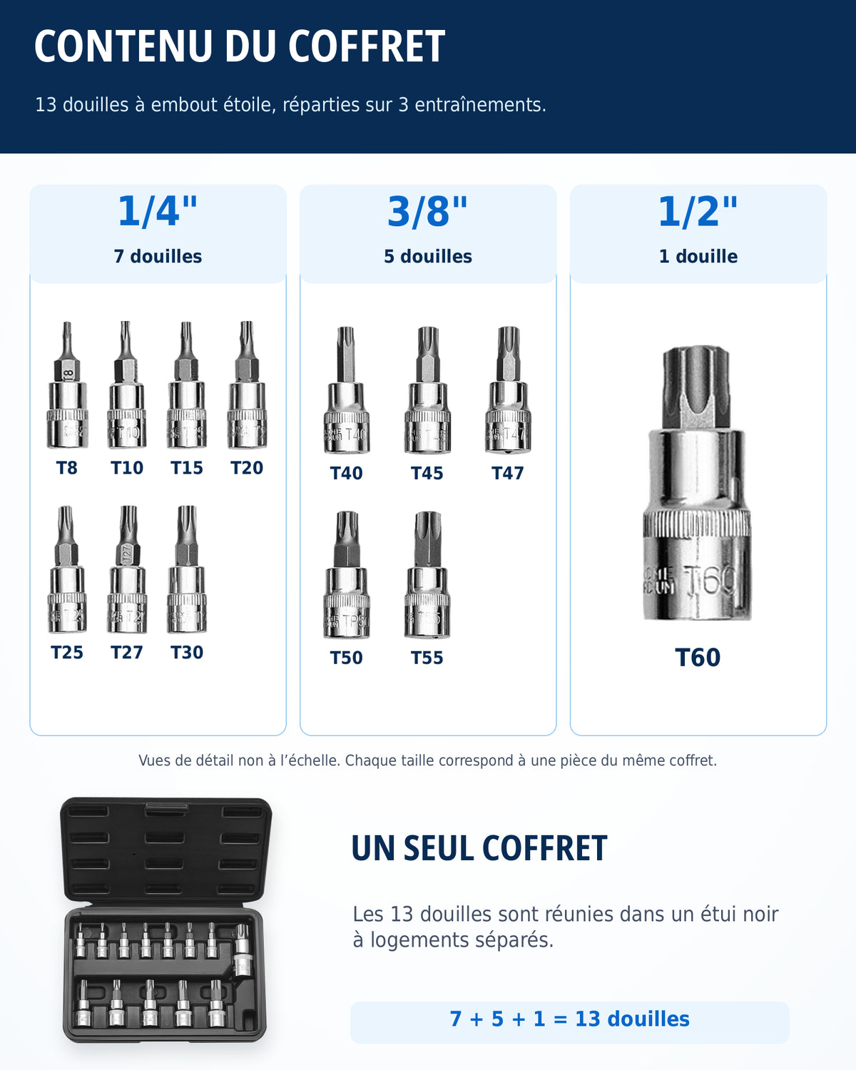 Coffret de douilles embouts Torx 1/4", 3/8" et 1/2" Acier Renforcé